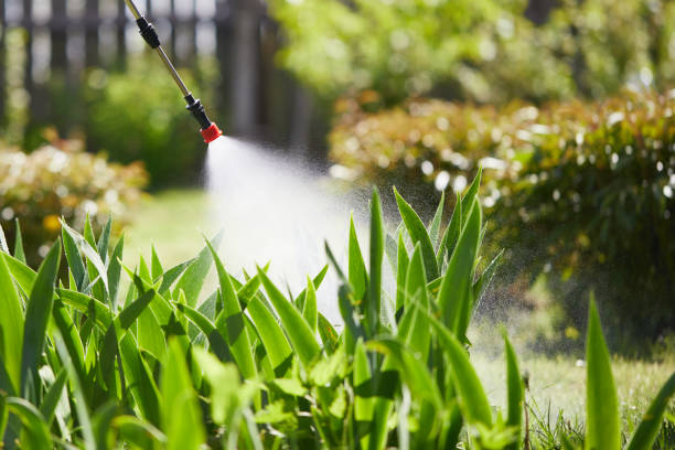 Void Injection for Cockroach Colonies in Country Lake Estates