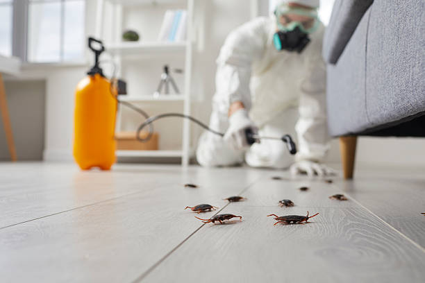 Commercial Kitchen Cockroach Control in Country Lake Estates